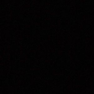 Meet your Posher, Bryce